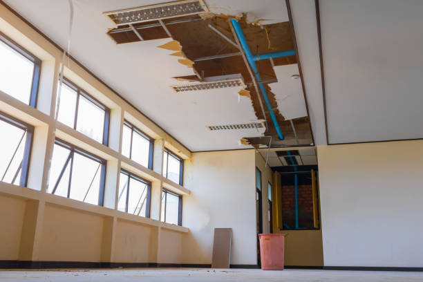 Water damage restoration mold remediation in Castroville, CA