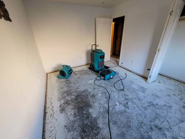 Reliable Castroville, CA Water damage restoration Solutions