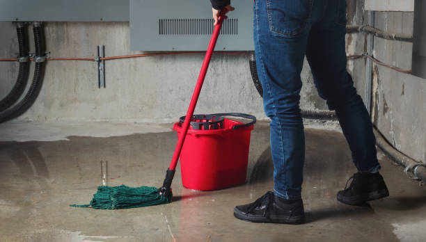 Best Water damage contractors near me  in Stroville, CA